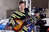 Zpěvák Harry Styles na koncertě v New Yorku