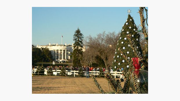 Vánoční strom před Bílým domem ve Washingtonu