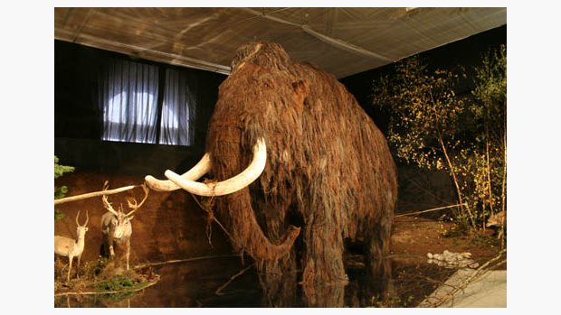 Lovci mamutů: Mamut
