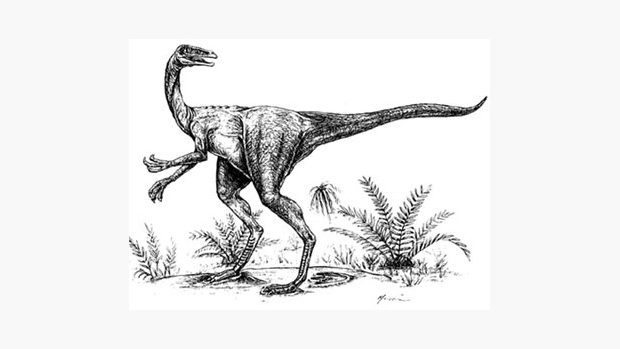 Dinosaurus Ornithomimus