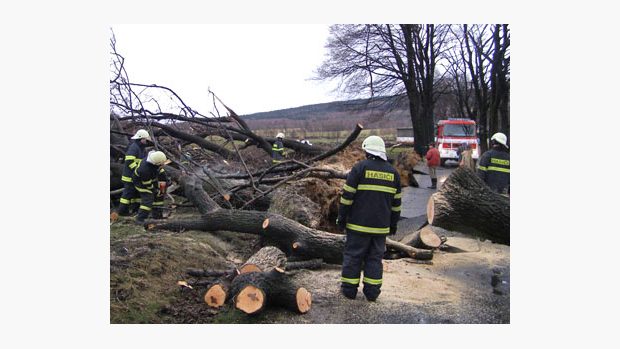 hasiči odstraňují spadlé stromy