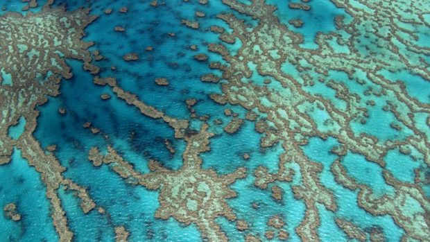 Home - Velký bariérový útes, Queensland, Austrálie (16°55&#039; S - 146°03&#039; E)