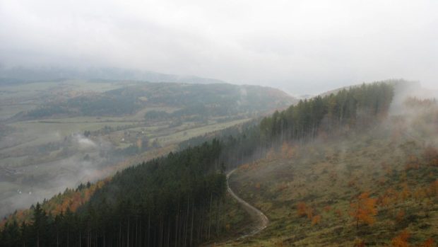 Dřevorubci okolí Lesní rozhledny už před lety vysekali