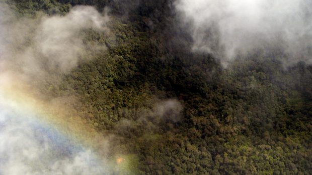 Letecký pohled na duhu nad pralesem,  Papua-Nová Guinea