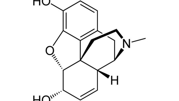 Strukturní vzorec morfinu