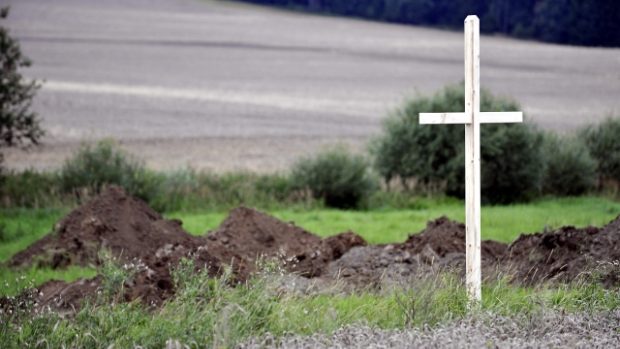 Dřevěný kříž v místě údajného hrobu Němců u Dobronína na Jihlavsku.