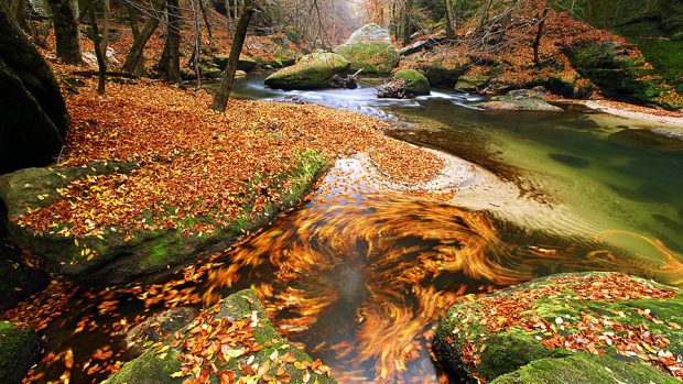 Podzim v Národním parku České Švýcarsko