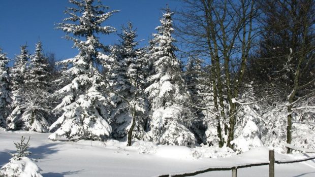 Na Krušných horách napadl první letošní sníh