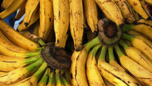 Banány - ilustrační foto