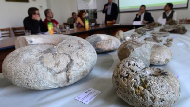 Čeští paleontologové představili kosterní nálezy z Antarktidy