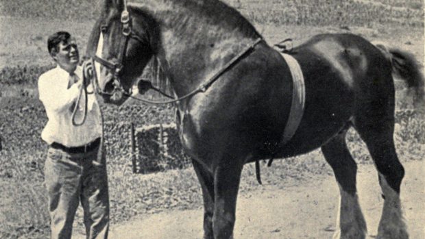 Jack London se svým hřebcem v roce 1916