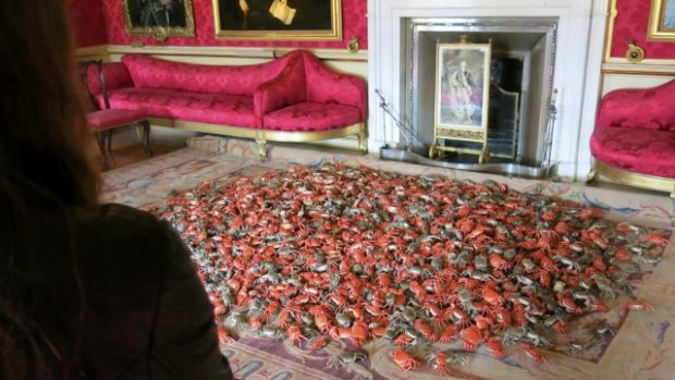 Návštěvnice si v paláci Blenheim prohlíží instalaci porcelánových sladkovodních krabů od Aj Wej - Weje