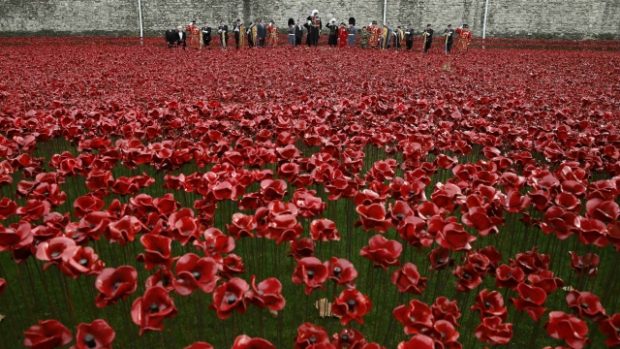 U londýnského Toweru bylo vysazeno 888 246 keramických květů vlčích máků