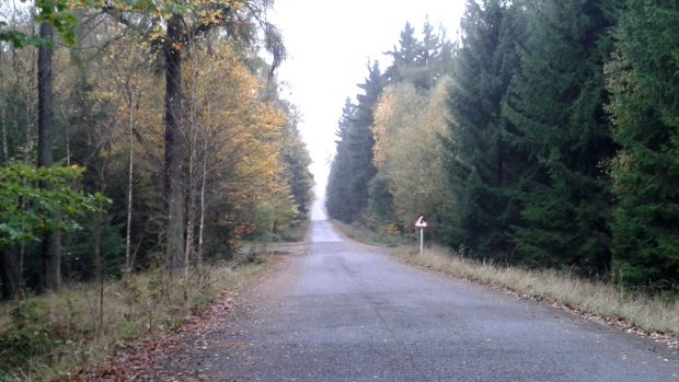 Po dobříšských lesích se můžete projíždět dlouhé kilometry po pohodlných silnicích bez provozu