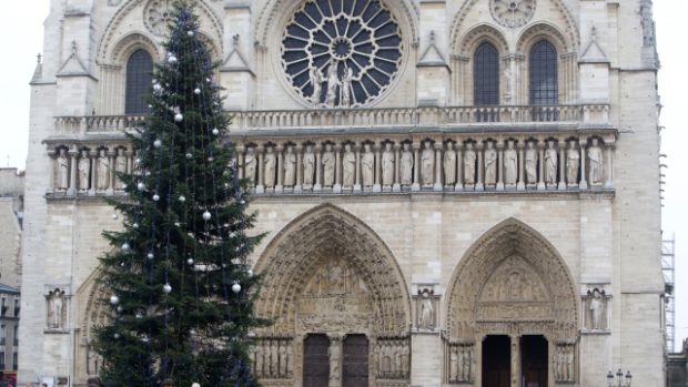 Vánoční stromek před Notre-Dame se Pařížanům většinou líbí