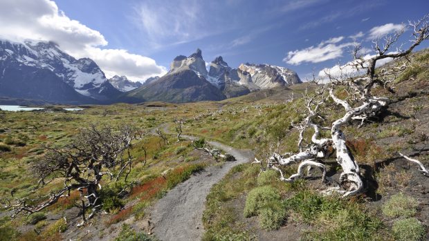 Patagonie: Torres del Paine