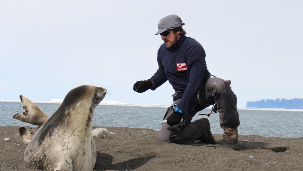 Z Antarktidy se do Česka vrátila expedice vědců z brněnské Masarykovy univerzity. Zkoumali uhynulé tuleně