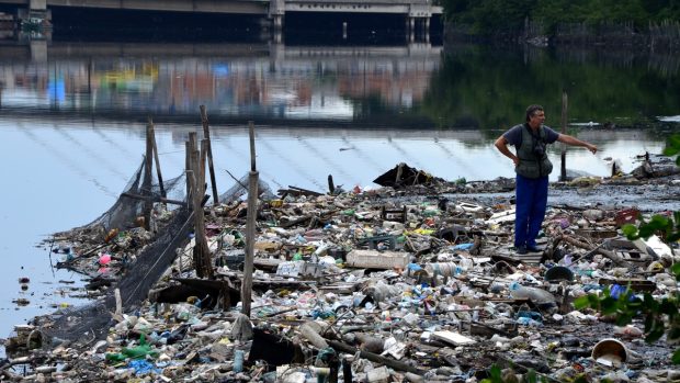 V roce 2012 záliv zcela vyčistili od odpadků. Takzvané ekobariéry - tedy sítě - ale povolily a smetí zaplavilo mangrovové porosty