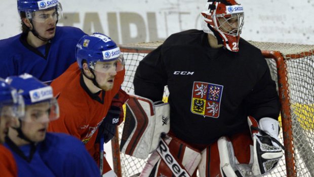 Hokejová reprezentace odletí do Norska ke dvěma zápasům série Euro Hockey Challenge (ilustrační foto)