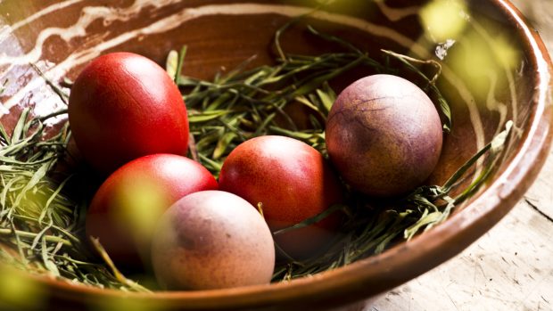 Velikonoce u Kašubů, polské národnostní menšiny. Při barvení vajíček se používala přírodní barviva