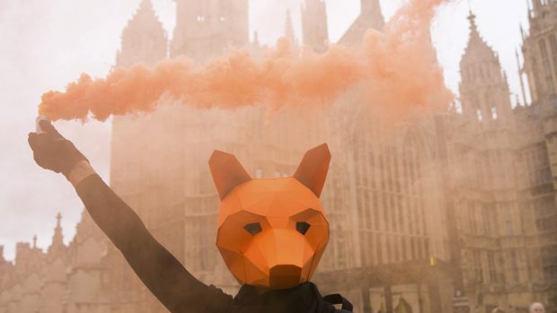 Na demonstraci před britským parlamentem přišli lidé s maskami lišek