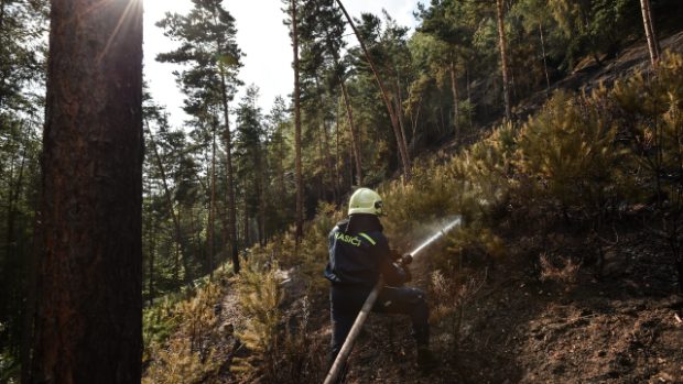 U rozsáhlého požáru lesa u obce Branžež na Mladoboleslavsku zasahuje zhruba 22 hasičských jednotek
