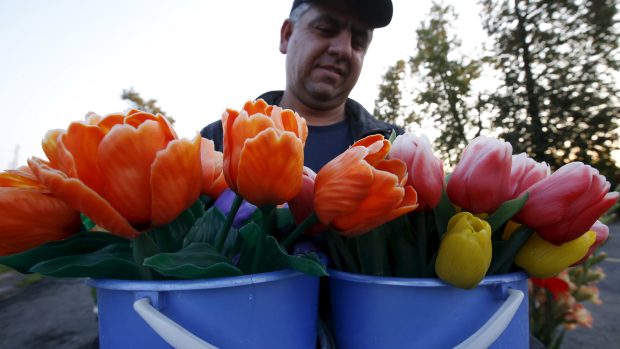 Pouliční prodavač tulipánů v Moskvě