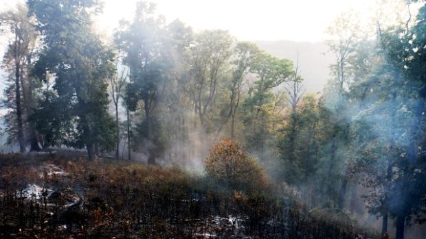 Hasiči likvidují zbytky požáru lesa u Lipníku nad Bečvou na Přerovsku