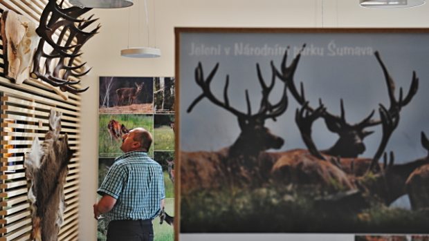 Nové návštěvnické centrum Kvilda nabízí naučný okruh o životě jelenů a výběh, který je představuje v jejich přirozeném prostředí