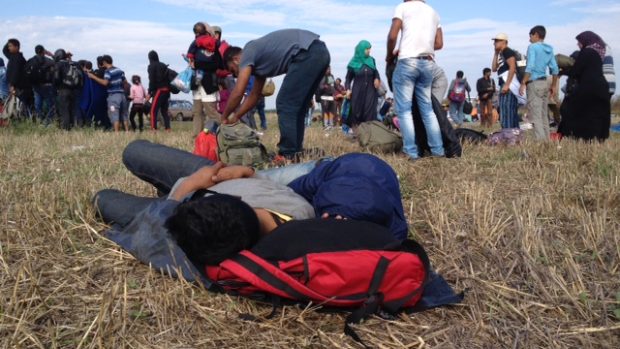 Migranti, kteří právě přešli hranici do Maďarska