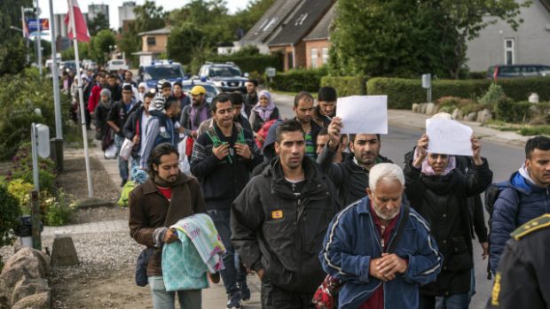 Migranti, kteří přijeli do Dánska z Německa, jdou z města Rödby pěšky do Švédska, kde chtějí požádat o azyl. Cesta je dlouhá 180 kilometrů (snímek ze 7. září)