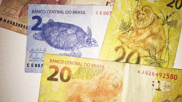 Lvíček zlatý na rubu dvacetirealových brazilských bankovek
