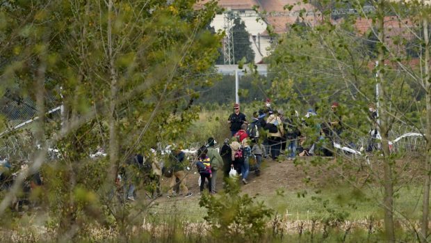 Maďarský policista dohlíží na uprchlíky mířící do země z Chorvatska