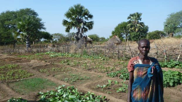 Češi učí zemědělce v Jižním Súdánu, jak se stát soběstačnými