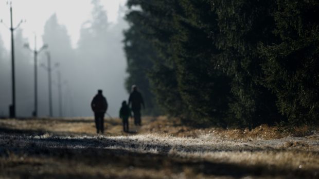 Šumava. Magistrála mezi Horskou Kvildou a Kvildou je zcela bez sněhu