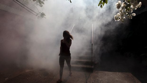 V Salvadoru se snaží zničit larvy komárů, kteří virus Zika přenášejí