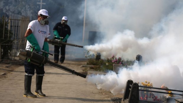 V Peru se snaží zničit larvy komárů, kteří virus Zika přenášejí