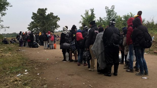 Dobrovolníci rozdělovali uprchlíky do skupinek po 50. Jedině tak se vešli do autobusů jedoucích do Chorvatska