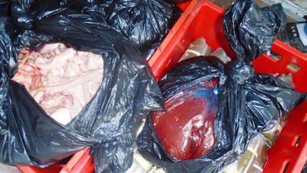 Státní veterinární správa zadržela zásilku zapáchajícího masa směřujícího do tržnice SAPA