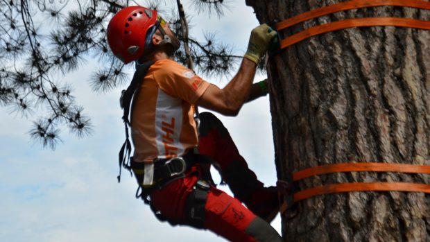 Mistrovství Evropy ve stromolezení - lezení ze země po větvích do koruny stromu