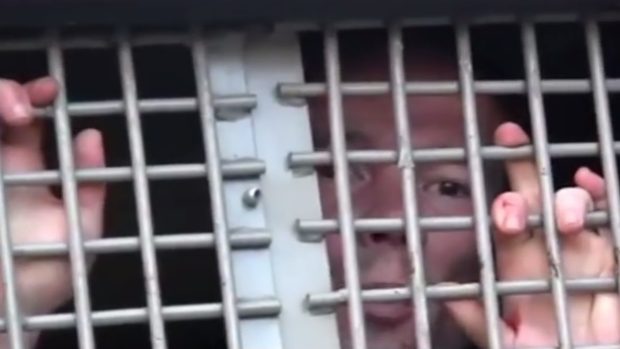 Ildar Dadin v policejním antonu během jednoho ze svých zadržení ruskými bezpečnostními složkami.