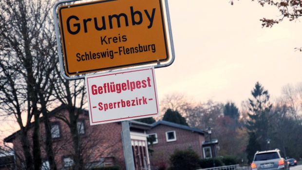 Tabule v německém městě Grumby, která příchozí varuje před výskytem ptačí chřipky.