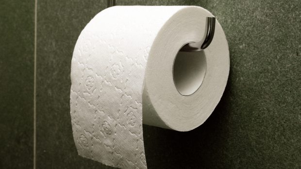 Toaletní papír (ilustrační).