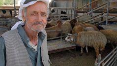 Palestinský obchodník s ovcemi Júsuf