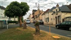 Uřezané stromy v Saint Aignan