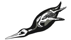 Pravěký tučňák Inkayacu paracasensis