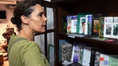 Částečnou legalizaci marihuany využívají v Uruguayi hlavně drobní pěstitelé