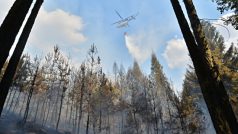U Dobříva na Rokycansku hoří les. Požár pomáhají hasit dva vrtulníky