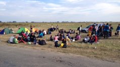 Migranti, kteří právě přešli hranici do Maďarska