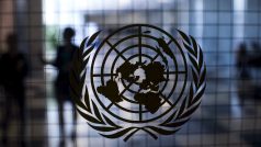 Sídlo OSN v New Yorku, Organizace spojených národů